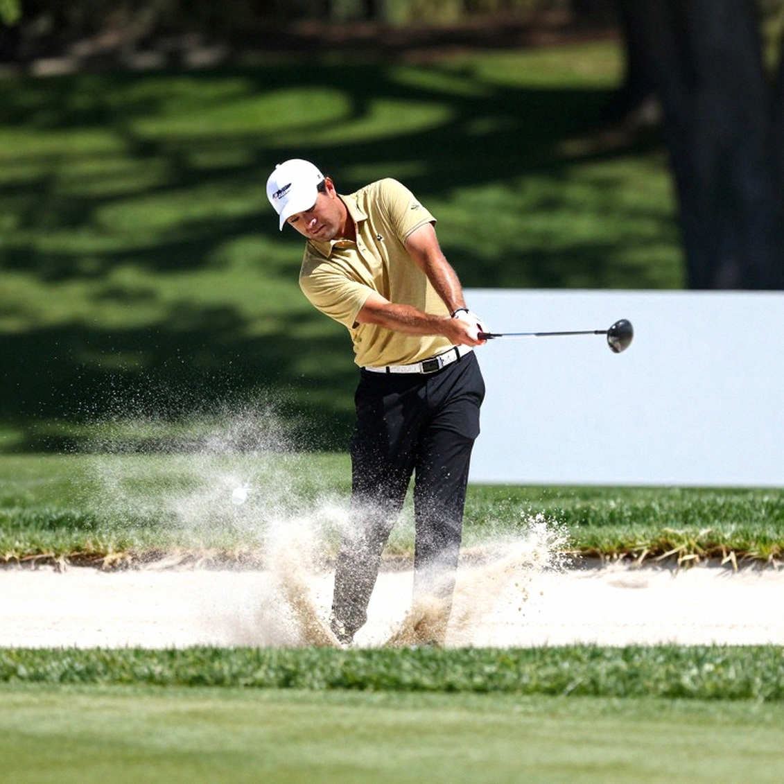 Khi dữ liệu trống rỗng: Bài học từ một bản phân tích golf không có thông tin Khi dữ liệu trống rỗng: Bài học từ một bản phân tích golf không có thông tin